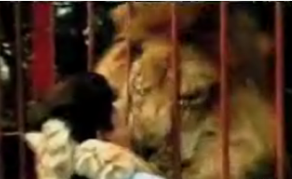 Lions and Tigers and Hugs...Oh My!